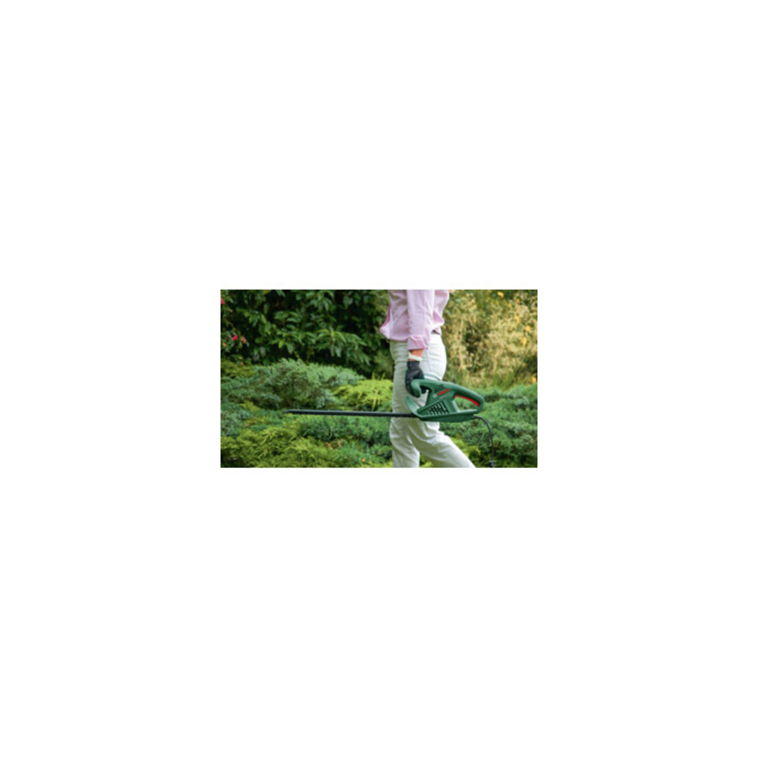 Bosch Taille-haie EasyHedgeCut 60
