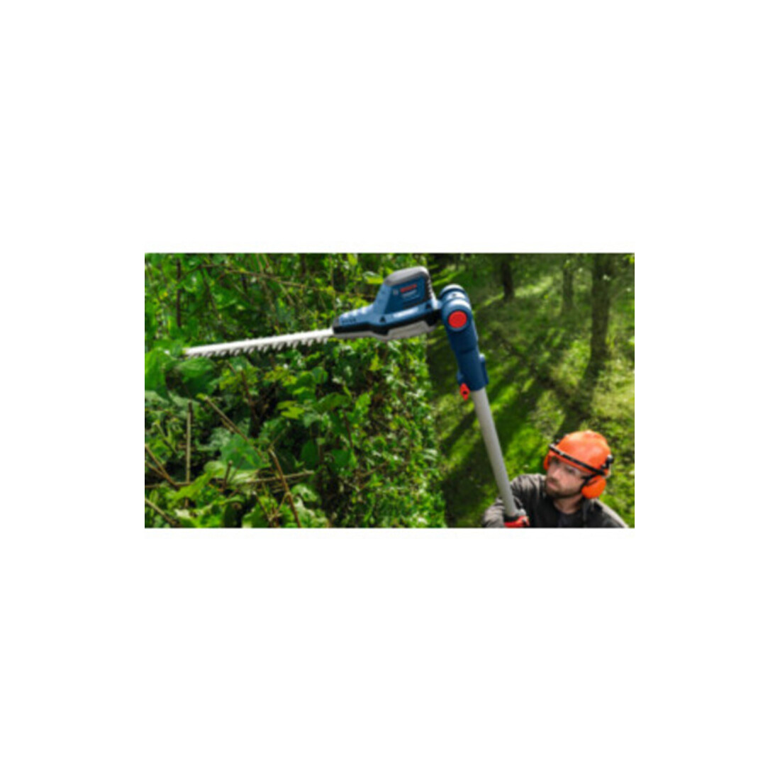 Bosch Taille-haie GHE 18V-50 TP