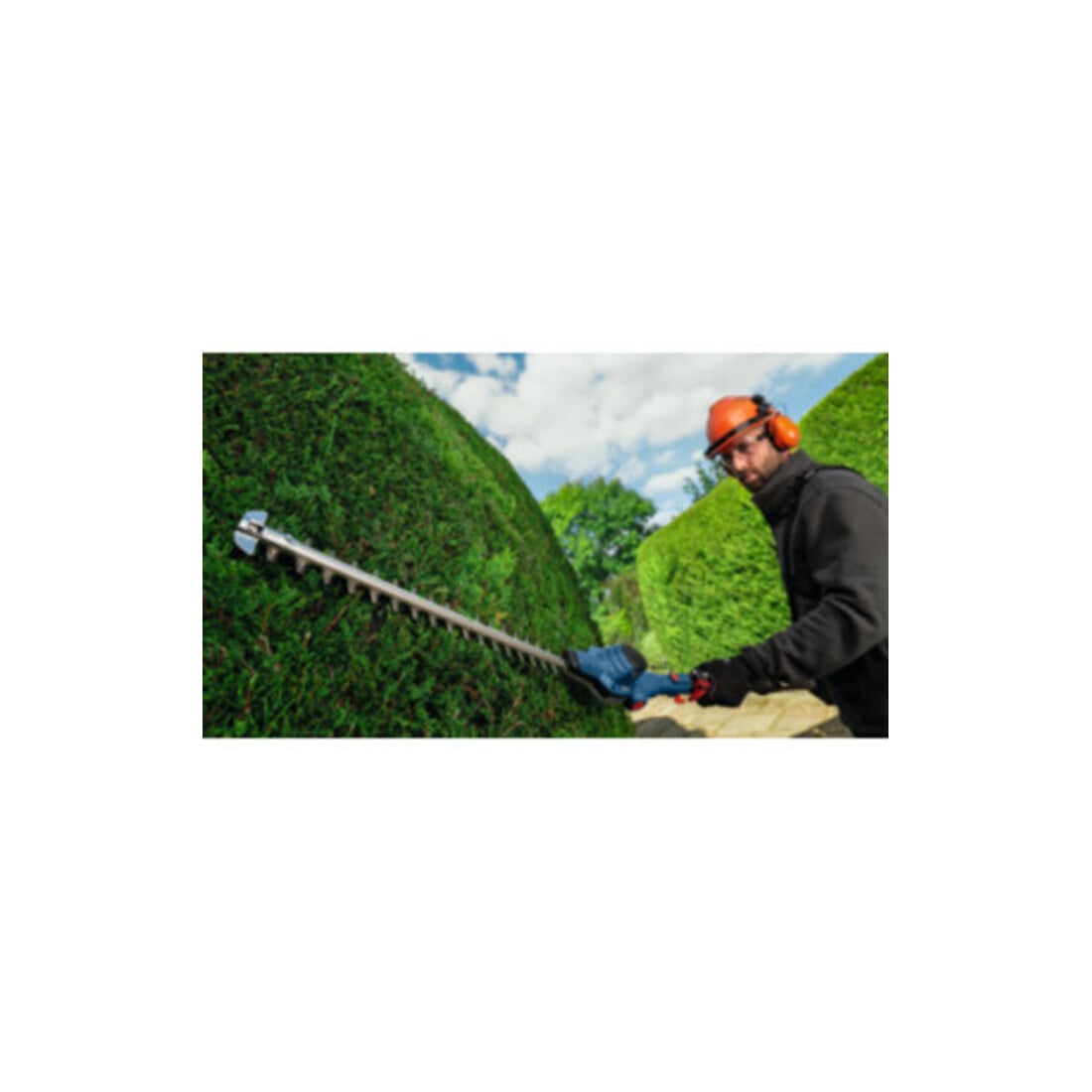 Bosch Taille-haie GHE 18V-50 TP