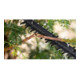 Bosch Taille-haie sans fil EasyHedgeCut 18V-44-11-5