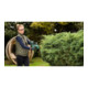 Bosch Taille-haie sans fil EasyHedgeCut 18V-44-11