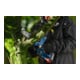 Bosch Taille-haie sur perche sans fil GKE 18V-20