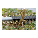 Bosch Taille-haies sans fil GHE 18V-50 (solo, C)
