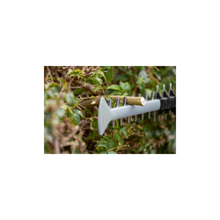 Bosch Taille-haies sans fil GHE 18V-50 (solo, C)