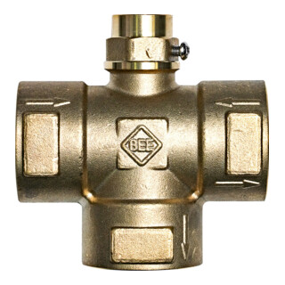 Bosch Té avec manchon plongeur de sonde 7738345433
