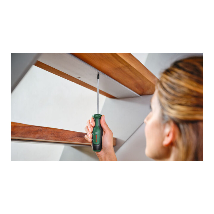 Bosch Tournevis Pozidriv PZ2 x 125 mm