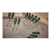 Bosch Tournevis TX TX10 x 75 mm-5