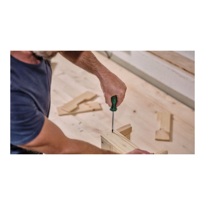 Bosch Tournevis TX TX15 x 100 mm outils à main