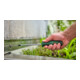 Bosch Tournevis TX TX30 x 125 mm outils à main