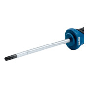 Bosch Tournevis TX 25x100