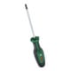 Bosch Tournevis TX TX20 x 100 mm