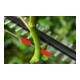 Bosch UniversalHedgePole 18 snoerloze telescopische heggenschaar met 1 x PBA 18V 2,5 Ah oplaadbare accu-4