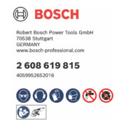 Bosch X-LOCK-Fächerschleifscheibe X551, Expert for Metal, K: 40, 125 mm-4