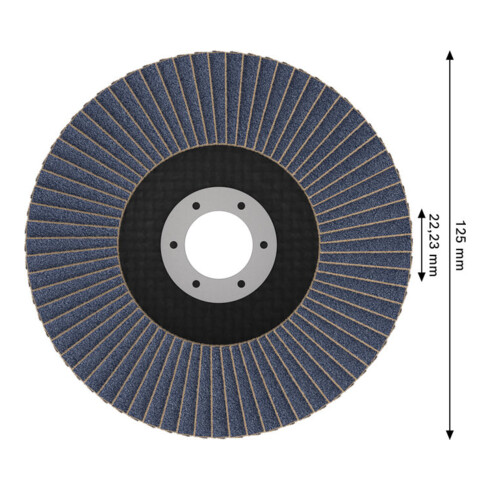 Bosch X451 Fächerschleifscheibe 125mm,T29,K40