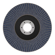 Bosch X451 Fächerschleifscheibe 125mm,T29,K80-2