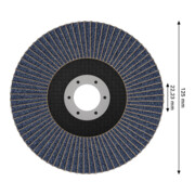 Bosch X451 Fächerschleifscheibe 125mm,T29,K80-4
