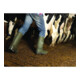 Bottes de sécurité hiver Purofort Thermo+ Full Safety taille 43 - 9 vert foncé/n