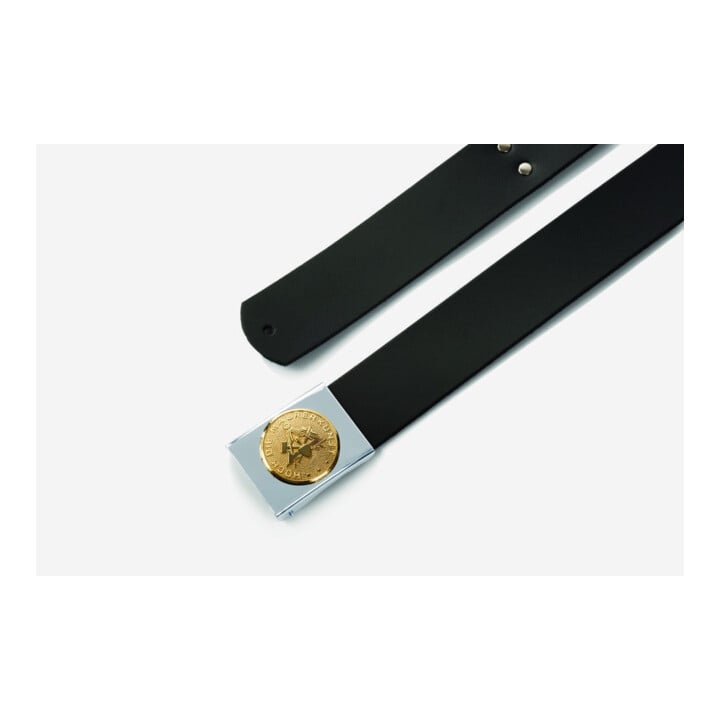 Boucle de ceinturon GREGOR maçon argent métal FHB