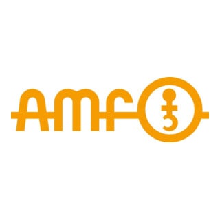 AMF DIN 787/ISO 299 Boulon en T trempé et revenu avec écrou et rondelle 8.8