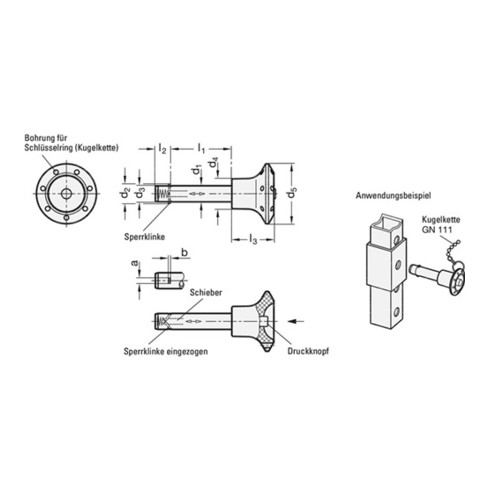 Boulons à enficher GN 114.2 a 4,3 mm b 1,2 mm l1 80 + 0,4 mm l2 14,8 mm GANTER