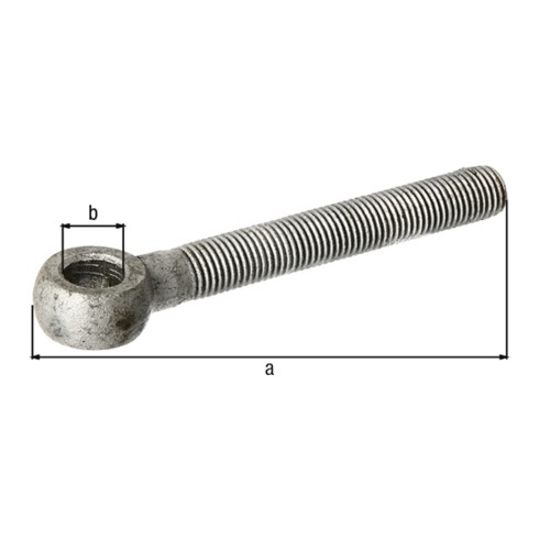 Gustav Alberts Boulon à oeil adapté aux charnières de but