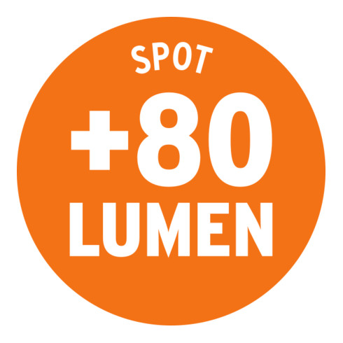 Brennenstuhl professionalLINE Akku LED-Handleuchte HL 2-00