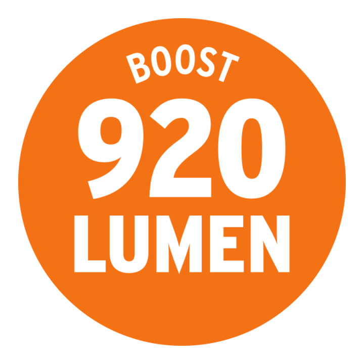 Brennenstuhl professionalLINE Akku LED-Taschenlampe TL 9-00 IP68 / Taschenleuchte mit 10W CREE-LED, staub- und druckwasserdicht, bis zu 300m Leuchtweite, 920lm im Boost-Modus, max. Leuchtdauer 33h