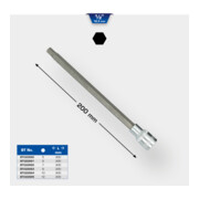 Brilliant Tools 1/2 inch inbusbitdop