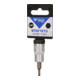 Brilliant Tools 3/8 Zoll Innensechskant Bit-Stecknuss