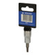 Brilliant Tools 3/8 Zoll TX-Bit-Stecknuss-5
