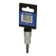Brilliant Tools 3/8 Zoll TX-Bit-Stecknuss-4