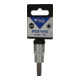 Brilliant Tools 3/8 Zoll TX-Bit-Stecknuss, T40