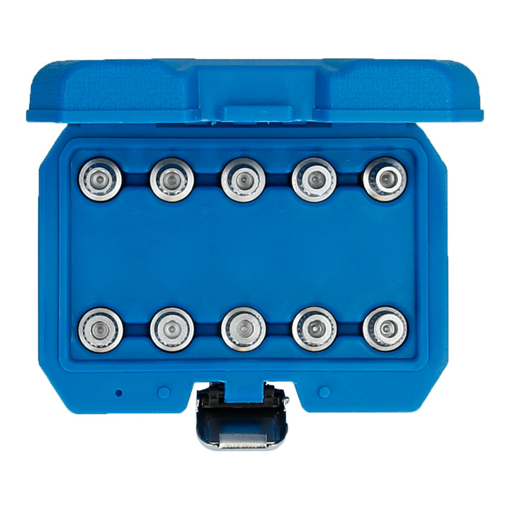 Brilliant Tools Assortiment de systèmes antivols de roue pour BMW, 10 pcs, BT691290