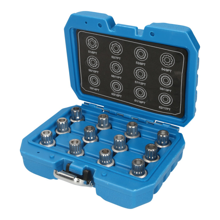 Brilliant Tools Assortiment de systèmes antivols de roue pour VW, 12 pcs