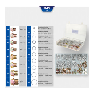 Brilliant Tools Assortiment de vis de vidange et joints, 543 pcs