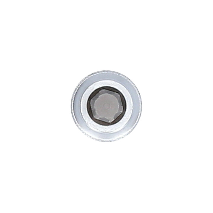 Brilliant Tools Bit-Einsatz, Länge 54 mm, Antrieb Innenvierkant 12.5 mm (1/2") für VAG Polydrive