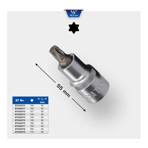 Brilliant Tools Bussola a inserto Torx 1/2"