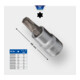 Brilliant Tools Bussola a inserto Torx 3/8"-1