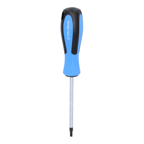 Brilliant Tools Cacciavite TORX, T25x100mm