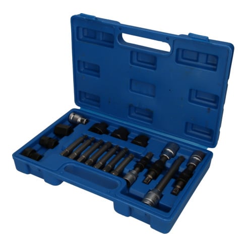 Brilliant Tools Dynamo bit- en dopsleutelset, 18-dlg