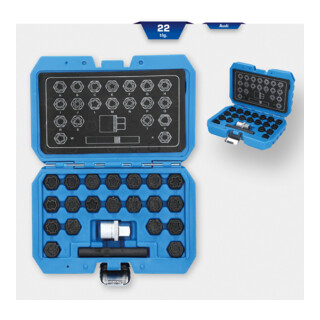 Brilliant Tools Gamme de systèmes antivol pour Audi, 22 pcs