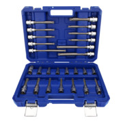 Brilliant Tools Jeu de clés à douille 1/2", 26 pcs, profil à denture multiple, XZN-5