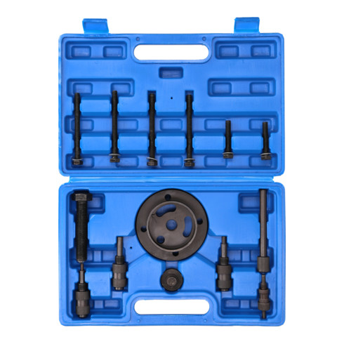 Brilliant Tools Motor-Einstellwerkzeug für Jaguar