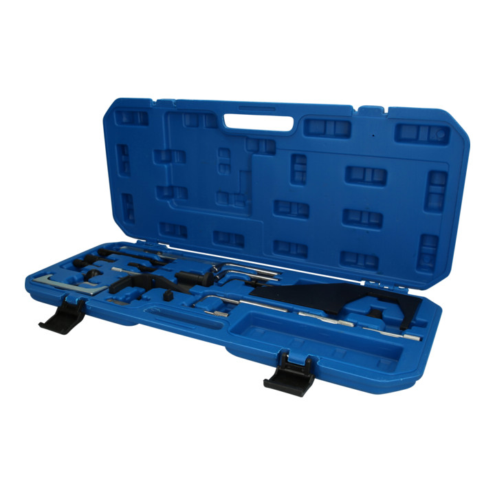 Brilliant Tools Motor-instelgereedschapset voor Ford