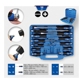 Brilliant Tools Schraubendreher-Satz mit Schlagkappe, 12-tlg