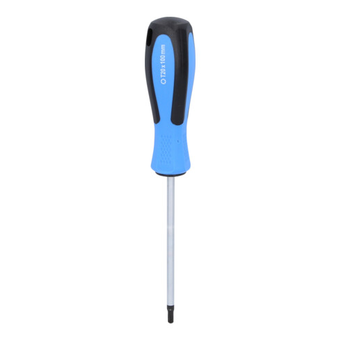Brilliant Tools Schraubendreher TX