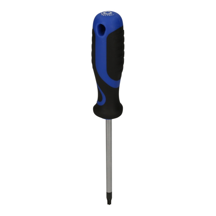 Brilliant Tools Schraubendreher TX, T25
