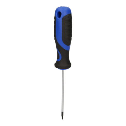 Brilliant Tools Schraubendreher TX