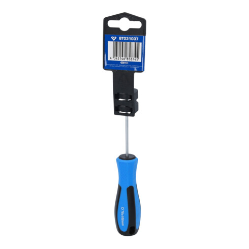 Brilliant Tools TX-schroevendraaier T6 x 100 mm