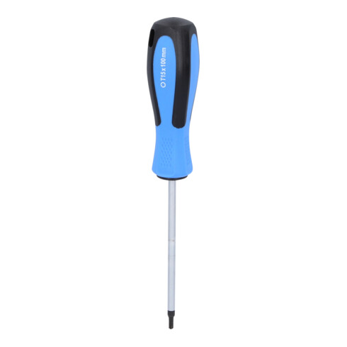 Brilliant Tools Schroevendraaier TX, T15 x 100 mm